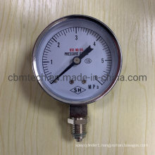 Manufacturer Supply 6MPa Pressure Gauges for Sale